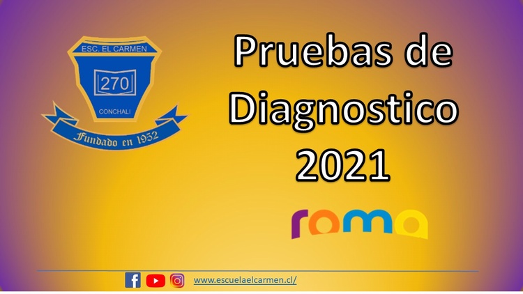 Pruebas de diagnostico Online 2021