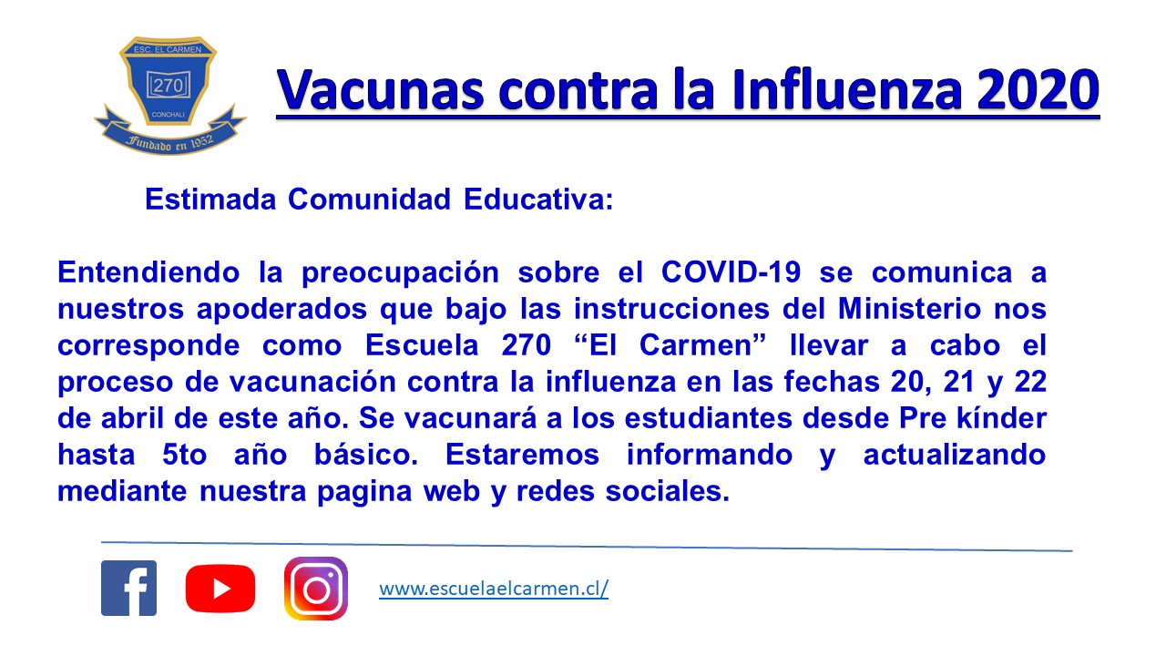 Vacunacion anti Influenza 2020